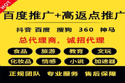 SEM推广实战：成功案例解读与策略调整